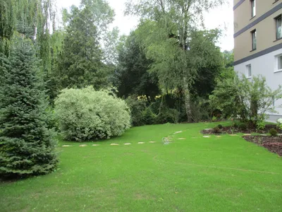 5-Zimmer-Wohnung mieten in Wels-Land – 130 m², € 1.535 – Bild 27 von 27