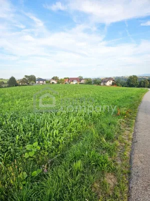 Immobilie kaufen in Wels-Land – € 659.000 – Bild 3 von 4
