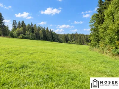Grundstück kaufen in Murau – 81 114 m², € 350.000 – Bild 3 von 10