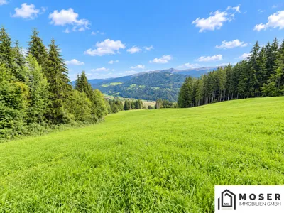 Grundstück kaufen in Murau – 81 114 m², € 350.000 – Bild 5 von 10
