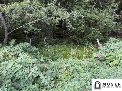 Grundstück kaufen in Murau – 81 114 m², € 350.000 – Bild 9 von 10