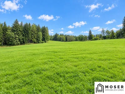 Grundstück kaufen in Murau – 81 114 m², € 350.000 – Bild 4 von 10