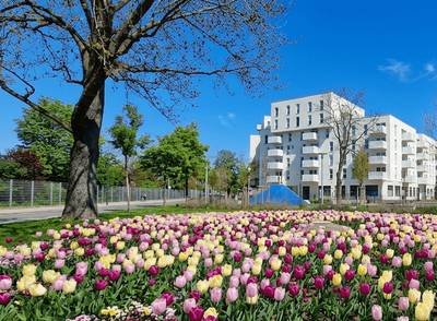 Blumengarten Hirschstetten: 1-Zimmer-Neubauwohnung mit Balkon!