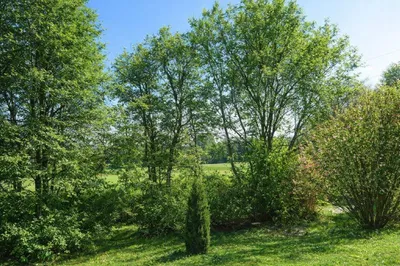 3-Zimmer-Wohnung kaufen in Baden – 71 m², € 234.000 – Bild 4 von 6