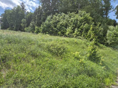 Grundstück kaufen in Lilienfeld – 758 m², € 89.900 – Bild 4 von 6