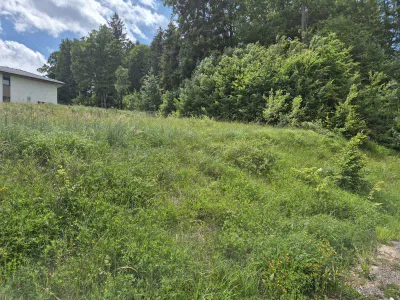 Grundstück kaufen in Lilienfeld – 758 m², € 89.900 – Bild 3 von 6