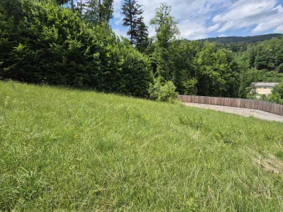 Grundstück kaufen in Lilienfeld – 758 m², € 89.900 – Bild 5 von 6
