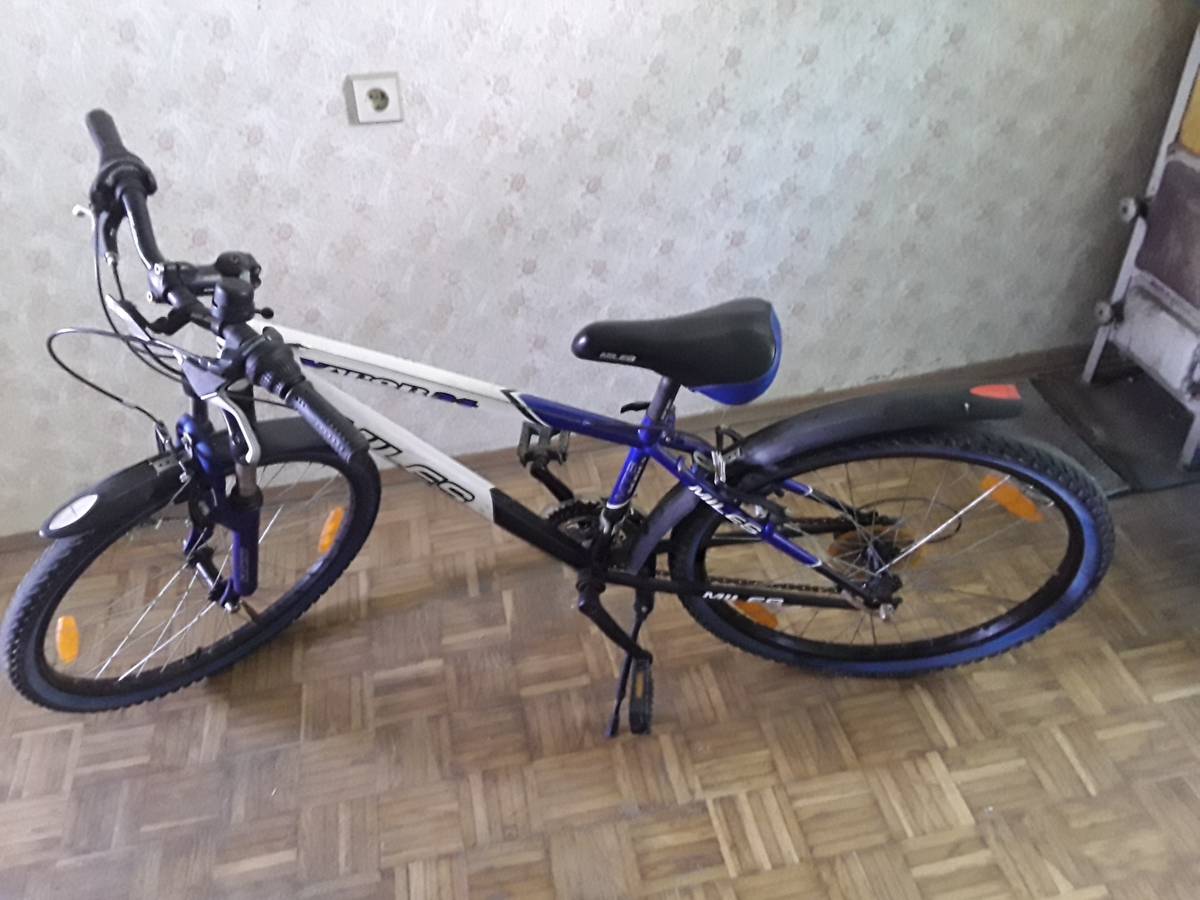Fahrrad 24 Zoll kaufen - willhaben