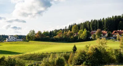 Grundstück kaufen in Weiz – 796 m², € 30.248 – Bild 3 von 7