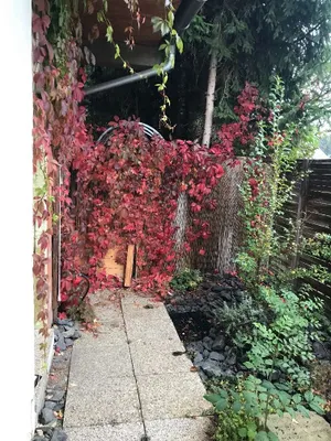 4-Zimmer-Haus mieten in Graz-Umgebung – 95 m², € 790 – Bild 3 von 30