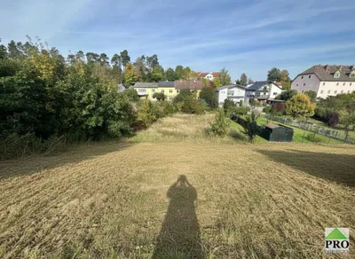 Grundstück kaufen in Waidhofen an der Thaya – 4 271 m², € 149.000 – Bild 4 von 9