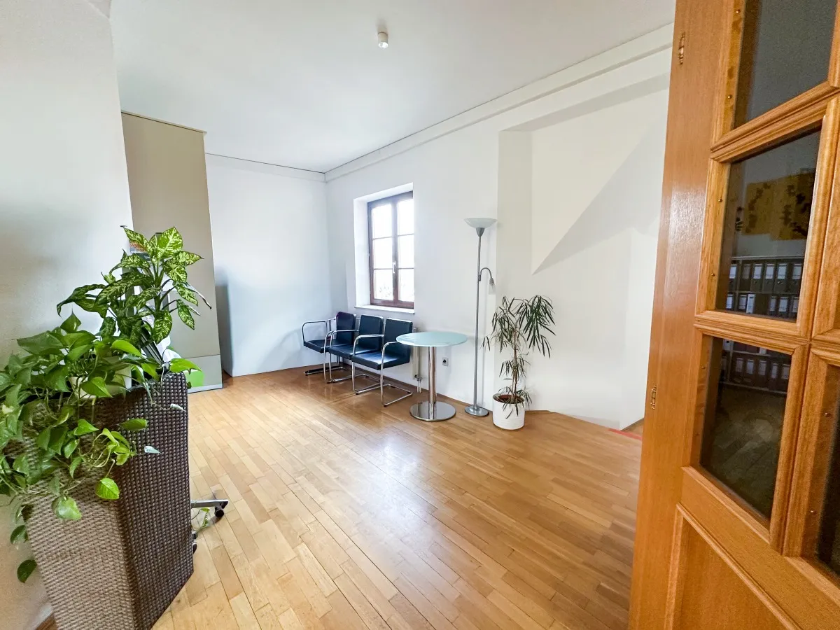 Große Geschäftsfläche mit Altbau-Charme im Herzen von Feldbach ...! - Ansicht 2