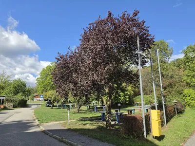 29-Zimmer-Gewerbeimmobilie kaufen in Hartberg-Fürstenfeld – 1 145 m², € 1.600.000 – Bild 70 von 78