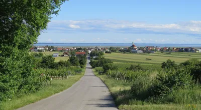 4-Zimmer-Haus mieten in Neusiedl am See – 220 m², € 4.240 – Bild 25 von 28