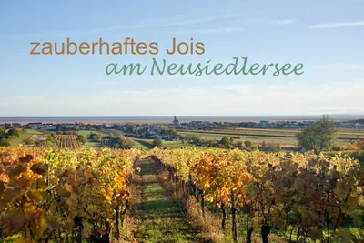 4-Zimmer-Haus mieten in Neusiedl am See – 220 m², € 4.240 – Bild 22 von 28