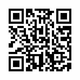 10-Zimmer-Haus kaufen in Ried im Innkreis – 329,2 m², € 590.000 – Bild 9 von 9