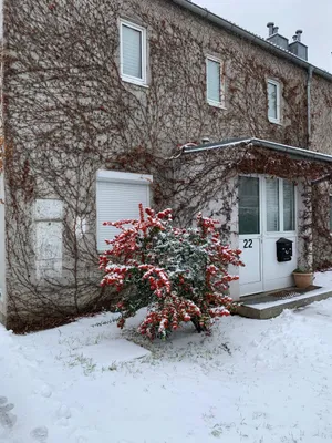 3-Zimmer-Haus mieten in Wien – 120 m², € 1.080 – Bild 18 von 18