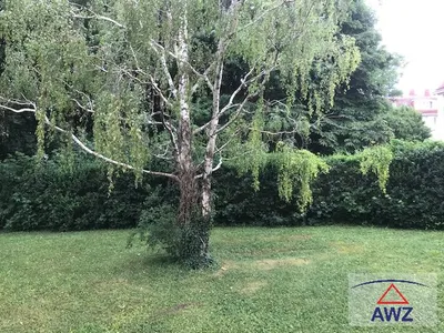 3-Zimmer-Wohnung kaufen in Baden – 62 m² – Bild 2 von 7
