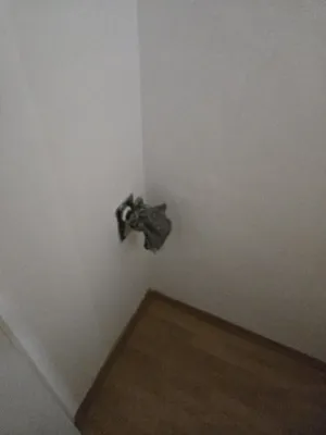 1-Zimmer-Wohnung mieten in Wien – 31 m², € 499 – Bild 7 von 7