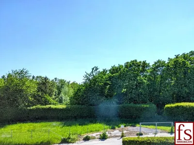 Haus kaufen in Wels-Land – 354 m² – Bild 18 von 37
