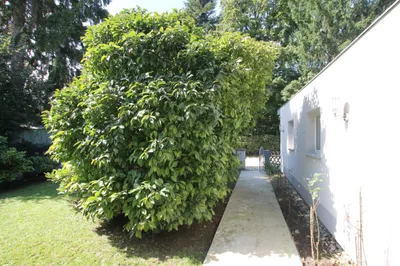 5-Zimmer-Haus kaufen in Sankt Pölten Land – 175 m², € 979.000 – Bild 22 von 30