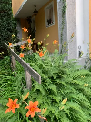 7-Zimmer-Haus kaufen in Linz – 206 m², € 688.000 – Bild 1 von 34