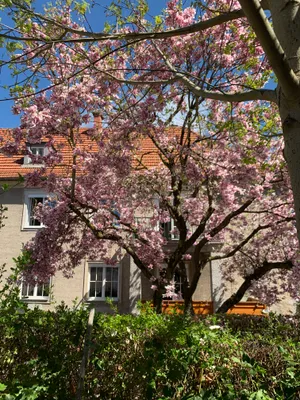 7-Zimmer-Haus kaufen in Linz – 206 m², € 688.000 – Bild 23 von 34