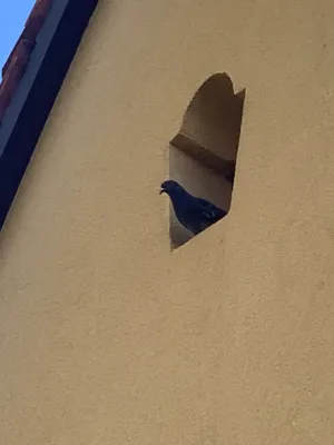 7-Zimmer-Haus kaufen in Linz – 206 m², € 688.000 – Bild 18 von 34
