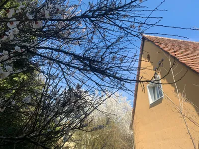 7-Zimmer-Haus kaufen in Linz – 206 m², € 688.000 – Bild 6 von 34