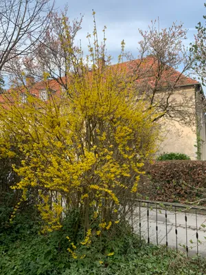7-Zimmer-Haus kaufen in Linz – 206 m², € 688.000 – Bild 24 von 34