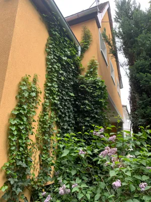 7-Zimmer-Haus kaufen in Linz – 206 m², € 688.000 – Bild 2 von 34