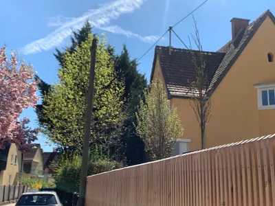 7-Zimmer-Haus kaufen in Linz – 206 m², € 688.000 – Bild 5 von 34