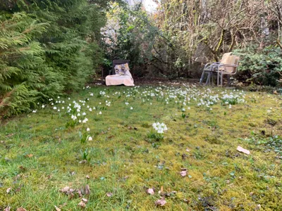 7-Zimmer-Haus kaufen in Linz – 206 m², € 688.000 – Bild 21 von 34