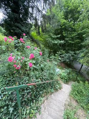 2-Zimmer-Haus mieten in Wien – 43 m², € 880 – Bild 15 von 17