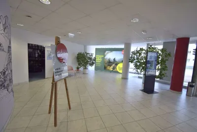 Gewerbeimmobilie mieten in Linz – 1 057 m², € 14.256 – Bild 8 von 11