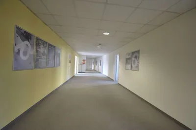 Gewerbeimmobilie mieten in Linz – 1 057 m², € 14.256 – Bild 5 von 11