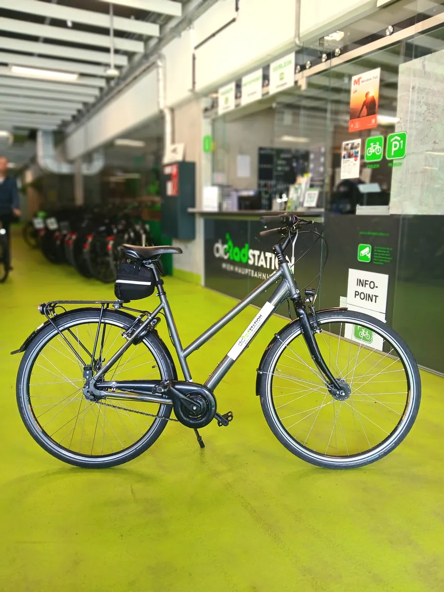 mountainbike fully gepcktrger SKS INFINITY UNIVERSAL Gepcktrger