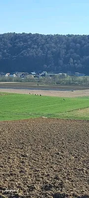 Immobilie kaufen in Leibnitz – 922 m², € 248.888 – Bild 61 von 67
