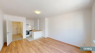 1-Zimmer-Wohnung mieten in Wien – 29,74 m², € 629 – Bild 1 von 5
