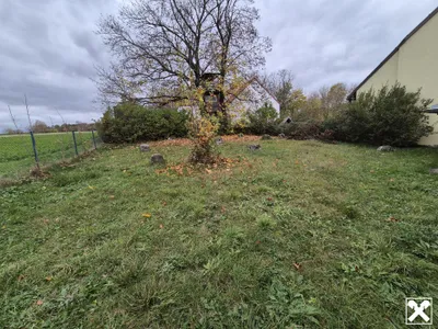 4-Zimmer-Haus kaufen in Hollabrunn – 125 m², € 120.000 – Bild 3 von 15