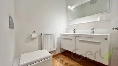 3-Zimmer-Immobilie kaufen in Salzburg Stadt – 245 m², € 3.789.000 – Bild 10 von 14