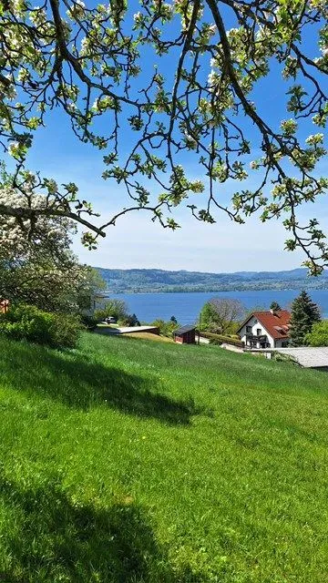Baugrundstücke in Weyregg am Attersee mit Seeblick - Ansicht 3