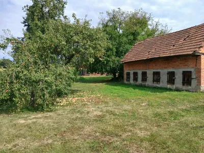 Immobilie kaufen in Südoststeiermark – 26 000 m², € 249.000 – Bild 13 von 18
