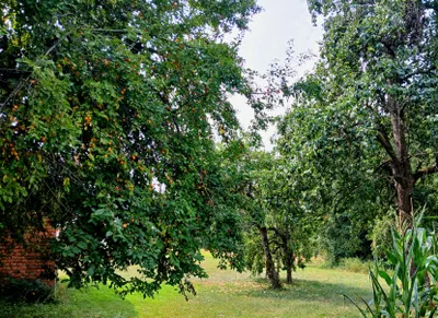 Immobilie kaufen in Südoststeiermark – 26 000 m², € 249.000 – Bild 6 von 18