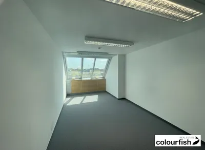 Gewerbeimmobilie mieten in Wien – 309 m², € 7.017 – Bild 4 von 7