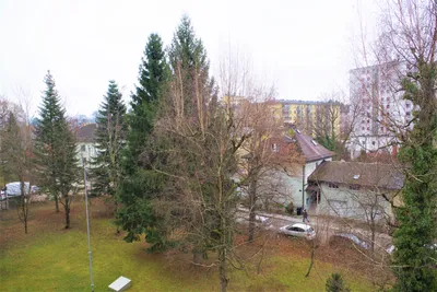 1-Zimmer-Wohnung mieten in Salzburg Stadt – 30 m², € 760 – Bild 3 von 7