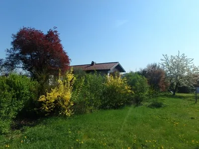 4-Zimmer-Haus mieten in Krems Land – 120 m², € 1.450 – Bild 6 von 26