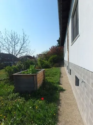 4-Zimmer-Haus mieten in Krems Land – 120 m², € 1.450 – Bild 23 von 26