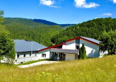 Immobilie kaufen in Scheibbs – 1 410 m², € 390.000 – Bild 1 von 4