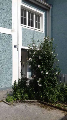 3-Zimmer-Wohnung mieten in Kirchdorf an der Krems – 64 m², € 690 – Bild 11 von 11